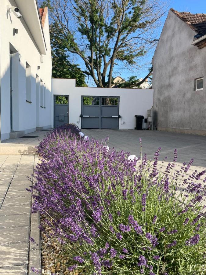 Dream Apartman Levél Dış mekan fotoğraf