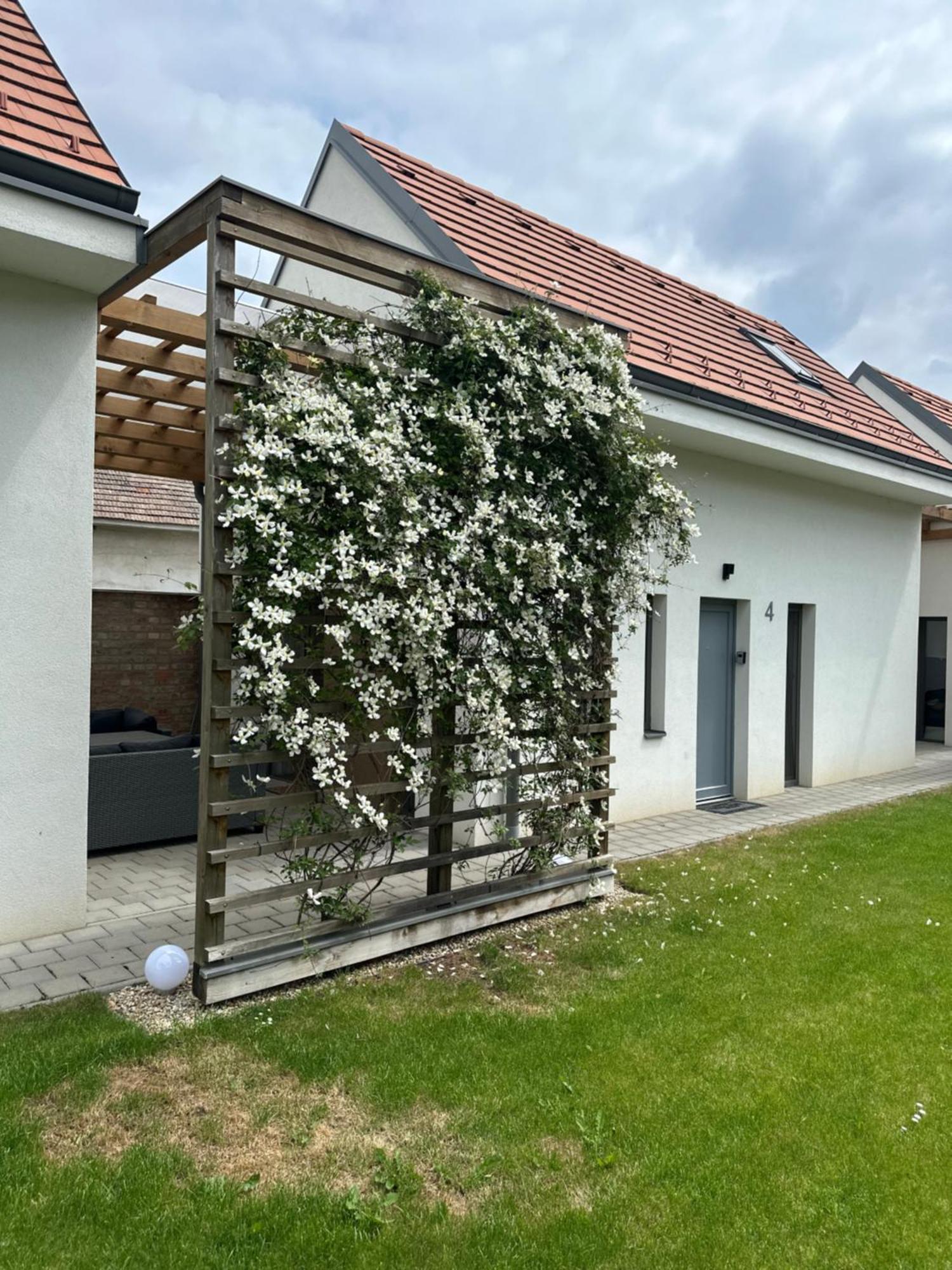 Dream Apartman Levél Dış mekan fotoğraf